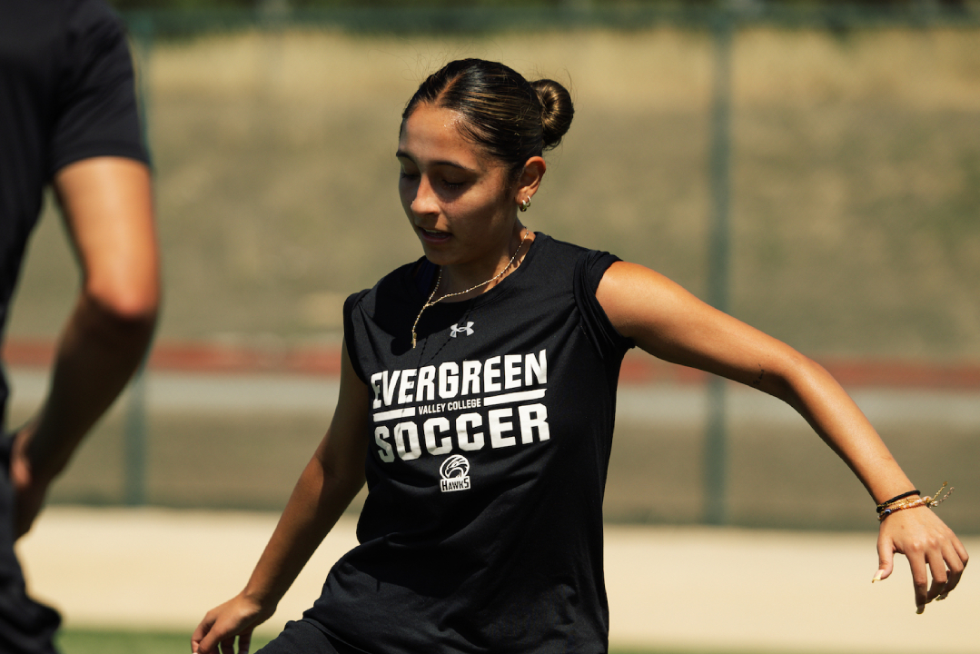 Camila Abrego